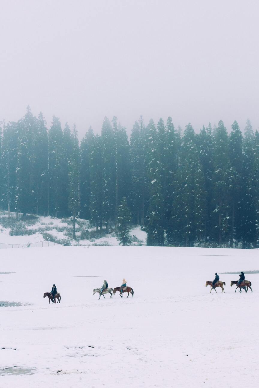 Gulmarg kashmir