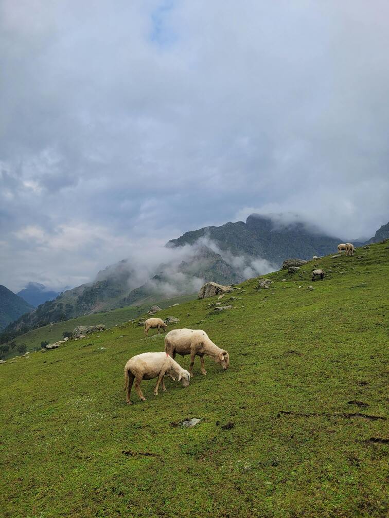 sonamarg kashmir