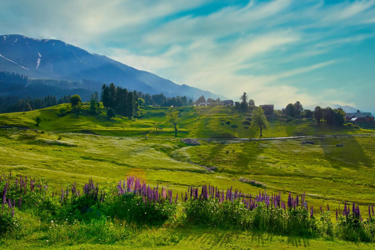 gulmarg summer view