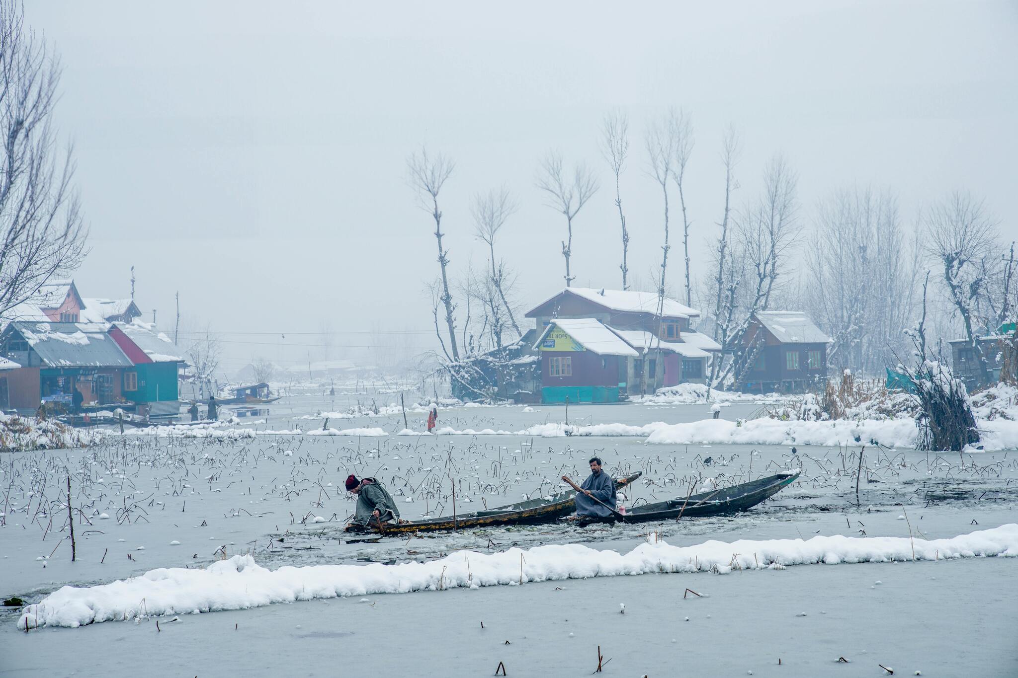 dal lake in winter