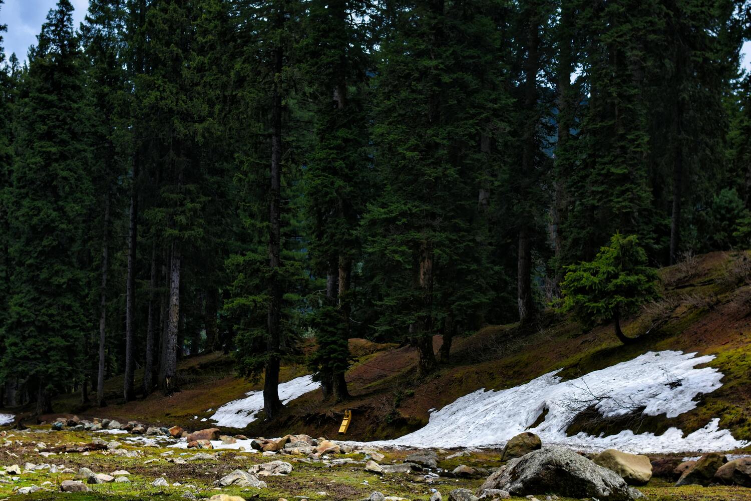 sonamarg kashmir