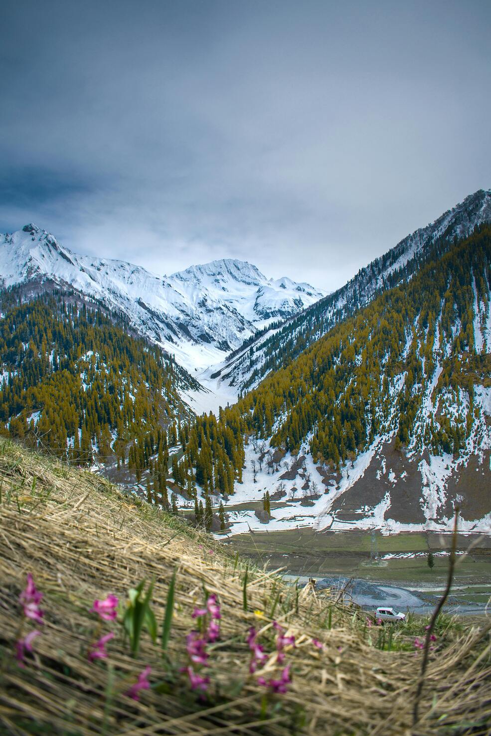 kashmir india
